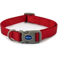 Red Ancol Viva Quick Fit Collar, 20-30cm, with plastic buckle and metal D-ring.