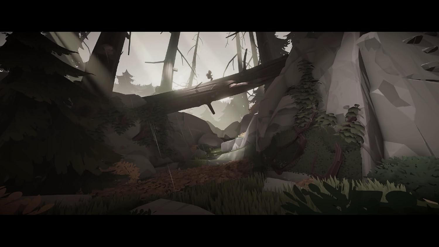 Deer & Boy - Switch - image 3