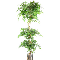 Artificial 180cm Fruticosa Ficus tree with twisted trunk, triple ball topiary, 1984 leaves, silver metal planter.