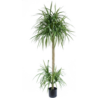 Realistic 180cm Dracaena artificial tree with long green leaves in a black pot