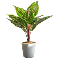 Potted artificial Calathea Veitchiane with green leaves and red veins in a white pot, 38cm tall.