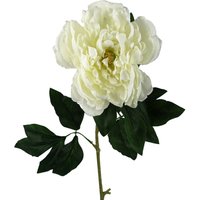 Artificial white peony stem with large layered bloom and dark green leaves, 80cm tall.