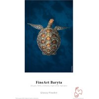 Hahnemühle FineArt Baryta paper with a turtle illustration, glossy finish, white border, and red rooster logo.
