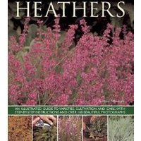 "Heathers book cover featuring pink heather flowers and green foliage with text detailing gardening tips."
