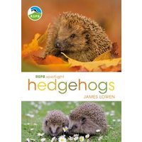 RSPB Spotlight book "Hedgehogs" by James Lowen with hedgehog images on cover, surrounded by autumn leaves and grass.