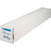White rectangular box of HP Matte Litho-realistic Inkjet Paper, 1118mmx30.5m, with blue HP logo and product details.