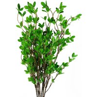 Pack of 6 x 100cm Mini Leaf Ficus Stems with vibrant green leaves and slender brown stems.