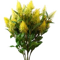 Pack of 6 yellow Callistemon Pallidus stems with spiky bottlebrush flowers and green leaves, each 55cm long.