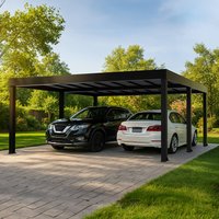 Black metal double carport with flat roof and open sides, covering two cars on a paved driveway.