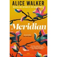 "Meridian book by Alice Walker, yellow and orange cover with abstract floral design and bold white title text"