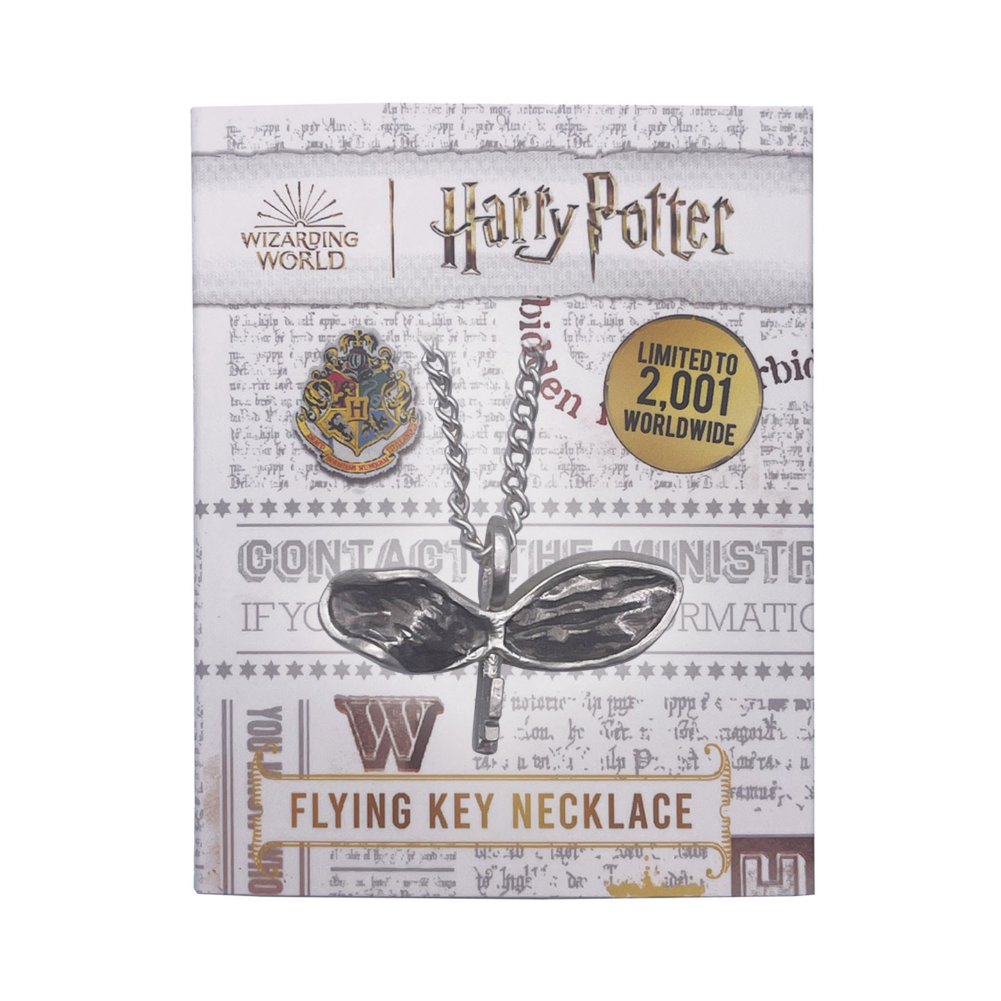 Harry Potter Harry Potter .999 Silver Plated Flying Key Necklace in Metallic Silver