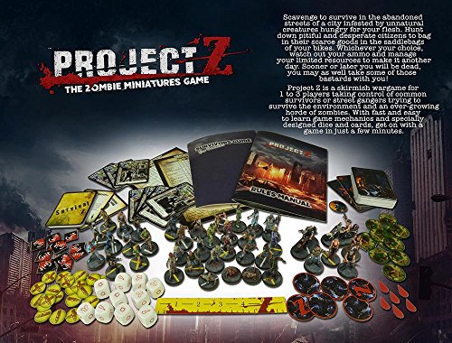Project Z Starter Game - image 2