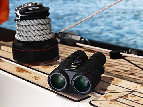 Canon 10x42L IS WP Binoculars - image 2