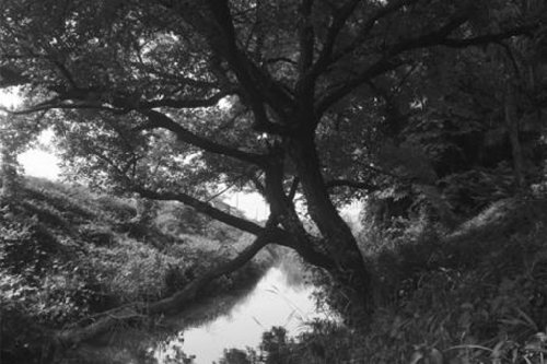 Hoya 77MM R72 INFRARED - image 2