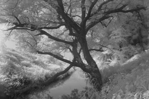 Hoya 77MM R72 INFRARED - image 3