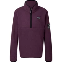 Purple women's fleece Dare 2B Slide Out with half-zip, high collar, and logo on chest and sleeve.