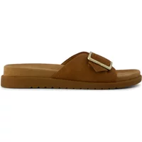 Brown TOMS women's sandals with a wide strap, gold buckle, and flat sole.