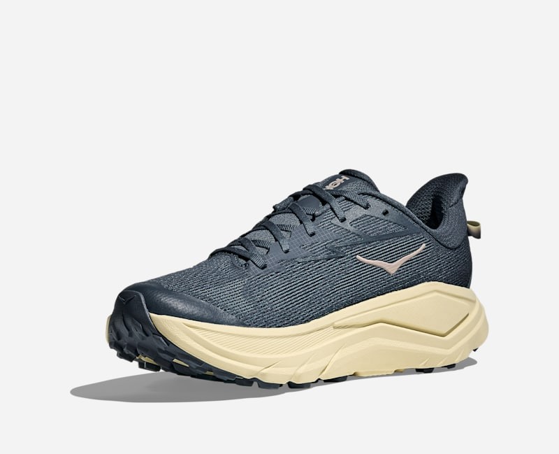 Hoka Challenger 8 Mens | Faded Navy / Pampass Grass - Navy / 7 / Wide - image 3