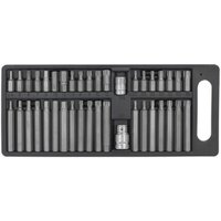 Sealey 40-piece TRX-Star/Hex/Spline bit set with silver bits in black plastic case with handle.