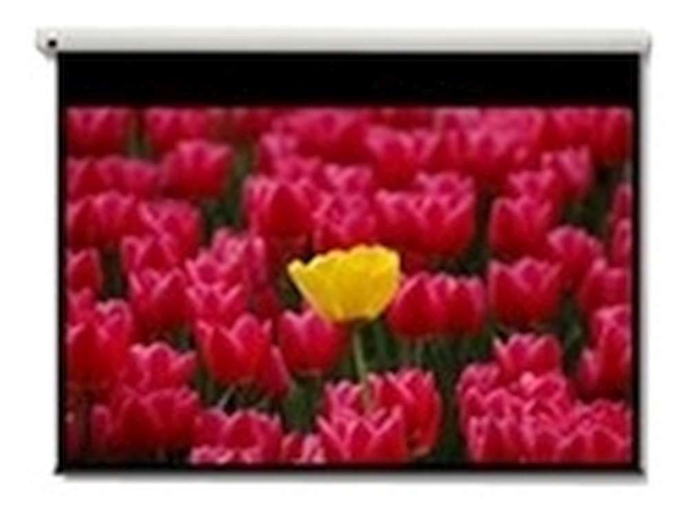 120-inch diagonal electric projector screen with a 16:9 aspect ratio, featuring a sleek white casing and a black border, displaying vibrant pink and yellow tulips.