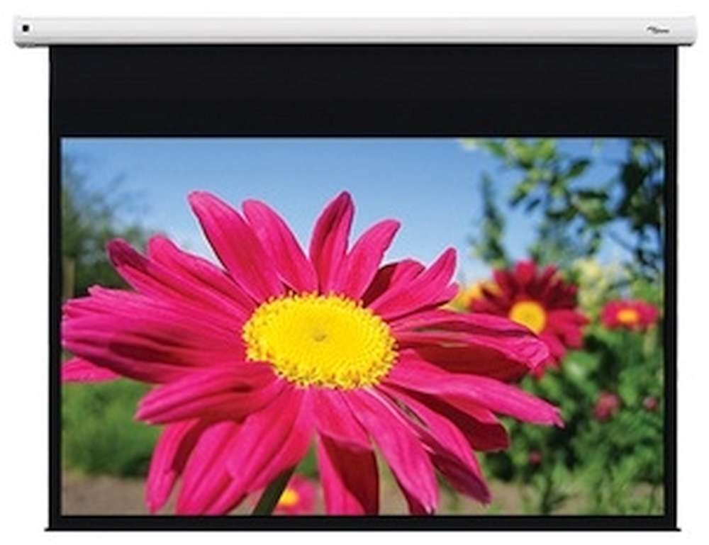 95-inch diagonal electric projector screen with a sleek white casing, displaying vibrant pink flowers against a green background, featuring a 16:10 aspect ratio.
