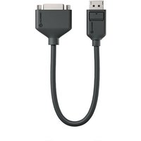 Black ALOGIC DisplayPort to DVI adapter, 20cm cable, male DisplayPort to female DVI connector.