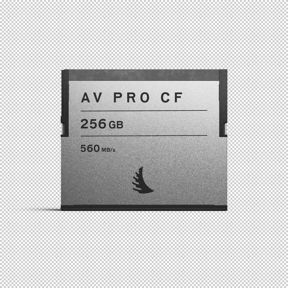 Silver CFast 2.0 memory card with "AV PRO CF" and "256GB" printed on the front, featuring a sleek design and a speed rating of 560 MB/s.