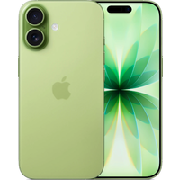 Apple iPhone 17 Dual SIM in sage green, featuring dual rear cameras and a sleek, minimalist design.