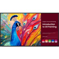 BenQ SH5504 55" LCD digital signage with vibrant peacock artwork and text display on the right side.