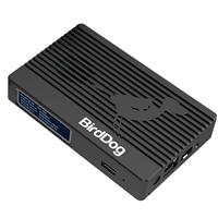 Compact black device with a ribbed surface, featuring the BirdDog logo, ports for connectivity, and labeled specifications for 4K 12G SDI and dual channels.