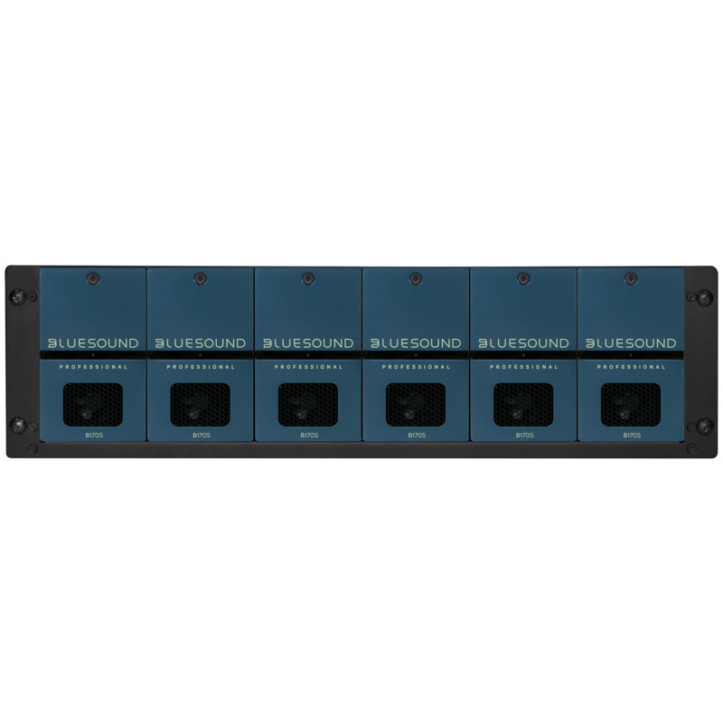 Bluesound Professional B160S - image 2