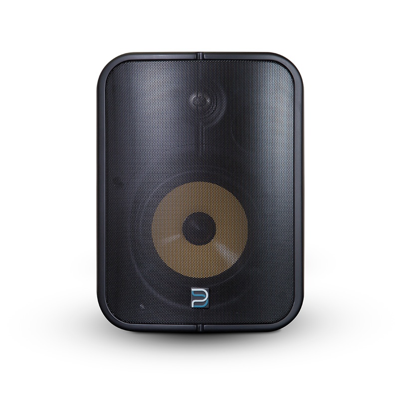 Bluesound Professional BSP1000 POE network streaming speaker in black, featuring a sleek design, a prominent gold speaker cone, and a mesh grille for enhanced sound quality.
