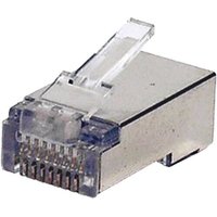 Transparent Cablenet RJ45 STP crimp plug with metallic shield, clear latch, and visible gold connectors.