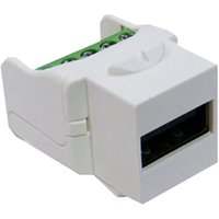 White Cablenet USB 2.0 Type A Female keystone with 5 pin terminal, rectangular shape, green terminal block.
