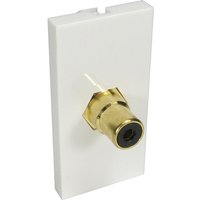 White Cables Direct V-MOD1RCABK socket-outlet with gold RCA connector on rectangular panel