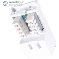 White connektgear RJ45 shuttered module, Cat5e, 25x50mm, with visible internal wiring and dual ports.