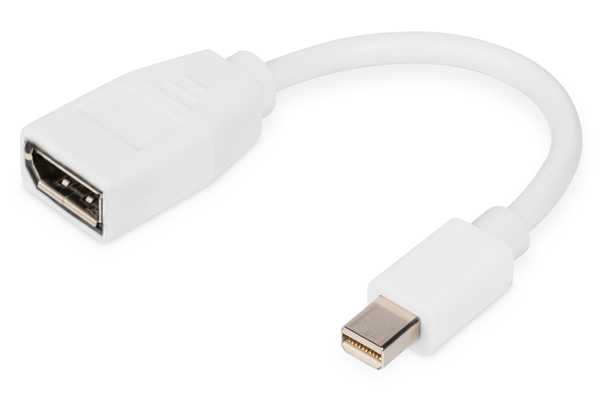 White adapter cable with a DisplayPort connector on one end and a Mini DisplayPort connector on the other, featuring a flexible design and compact size for easy connectivity.