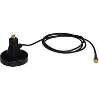 Black DrayTek ANT-BAS1 antenna base with attached cable and gold connector.