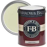 Farrow & Ball Modern Eggshell paint can, Green Ground No. 206, with open lid showing light green paint inside.