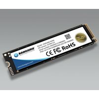 iStorage Kanguru Defender SED300 SSD, black with white label, FIPS 140-2 certified, M.2 2280, PCIe NVMe 4.0 x4.