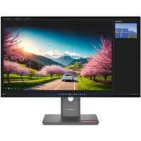 Lenovo ThinkVision P32UD-40 31.5" 4K Monitor - image 4