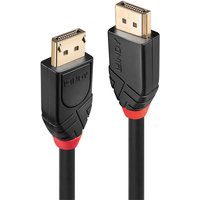 Black Lindy 10m Active DisplayPort 1.2 Cable with gold-plated connectors and red accents on the plugs.