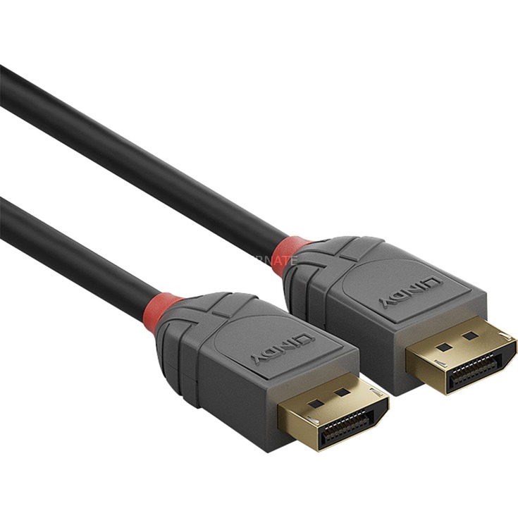 Lindy 10m DisplayPort 1.2 cable in black with red accents, featuring gold-plated connectors and a durable, flexible design for high-quality video and audio transmission.