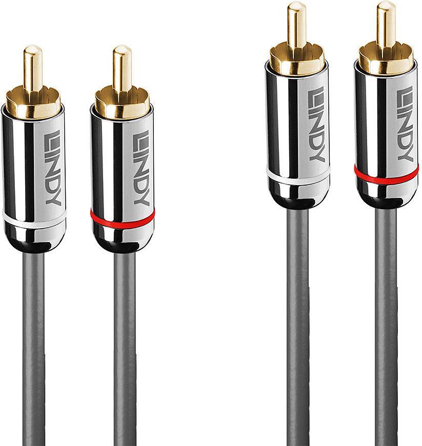 RCA audio cable featuring two gold-plated RCA plugs on each end, with a sleek anthracite-colored cable and distinct red and black accents on the connectors, measuring 10 meters long.