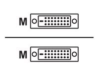 Lindy 7.5m DVI-D Dual Link cable with gold connectors, featuring a male connector on each end, designed for high-quality digital video transmission.