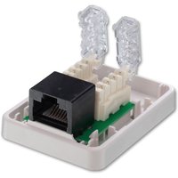 White Lindy Toolless Cat.5e surface mount box with black Ethernet port and clear plastic wire guides.