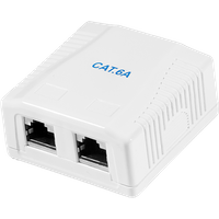 White LogiLink Cat.6A surface mounted box with two shielded RJ45 ports and blue text.