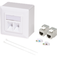White LogiLink Cat.6A wall outlet with 2 RJ45 ports, STP, includes backbox, cable ties, and connectors.