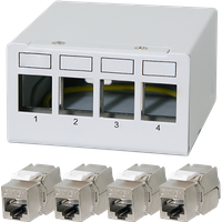 White LogiLink 4-port patch panel with four Cat.6A Keystone modules, numbered ports, and compact rectangular design.