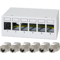 White LogiLink 6-port patch panel with numbered slots and six Cat.6A Keystone modules below.